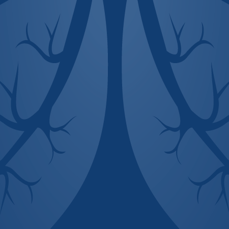 banner image_blue